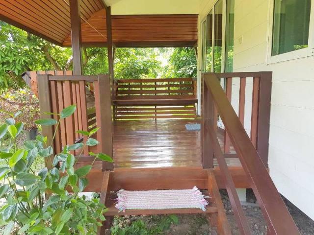 ��ҹ������ �ѹ���� ��§����