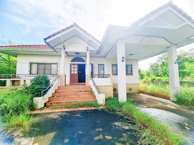 ��º�ҹ ���ͧ�͹�� �͹��