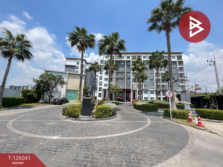 ��¤͹� ���ͧ��û�� ��û��