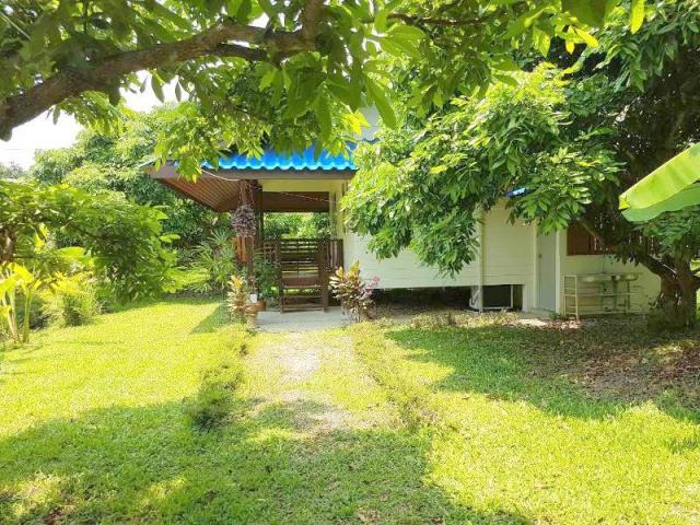 ��ҹ������ �ѹ���� ��§����