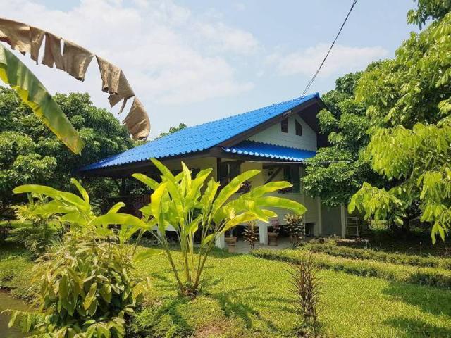 ��ҹ������ �ѹ���� ��§����