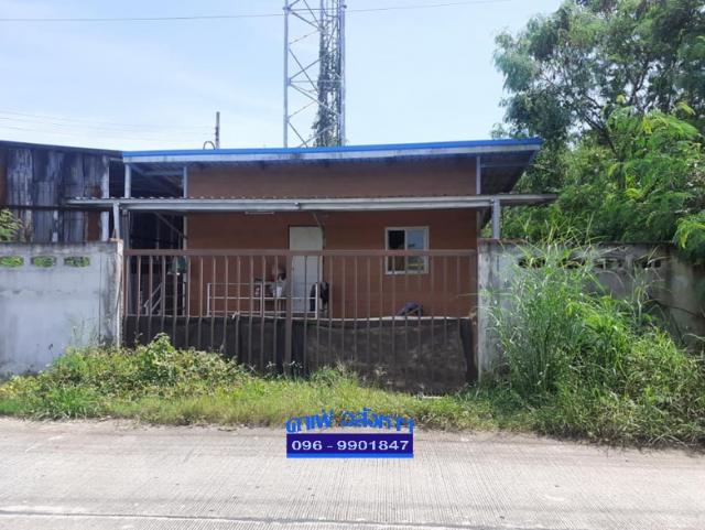 ����ç�ҹ ���١�� �����ҹ�