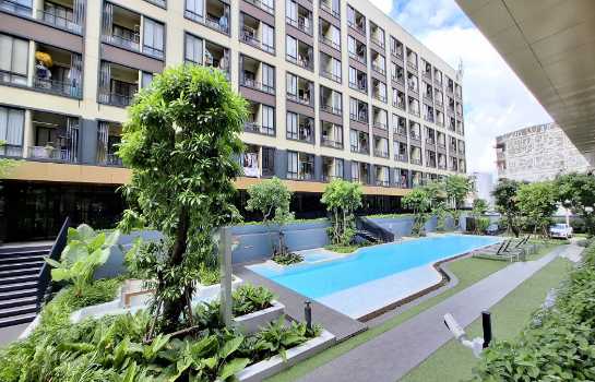 ��¤͹� ��������ا෾