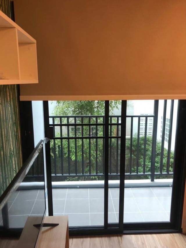 �͹������� ����ͧ��ا෾