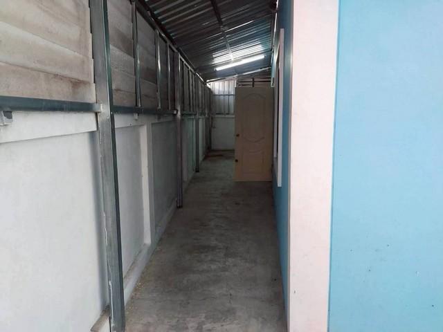 ��º�ҹ ���ͧ������ä� ������ä�