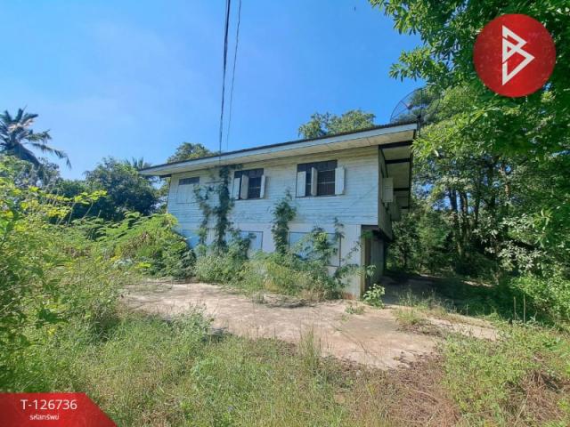 ��º�ҹ ����Ф��� ������ä�