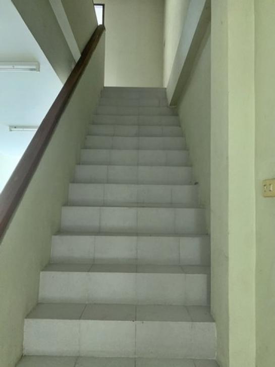 ����Ҥ�þҳԪ�� ������� ����ɮ��ҹ�