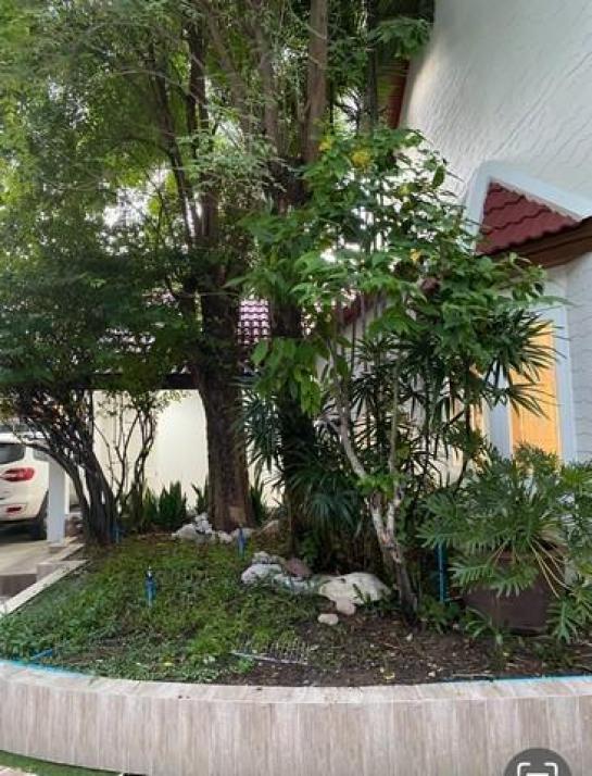 ��ҹ������ ��ͧ�¡�ا෾