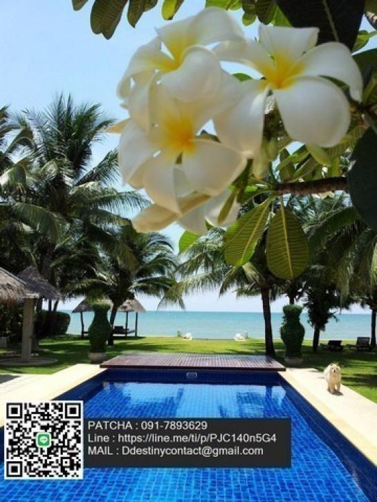 ��º�ҹ ����ҧ ྪú���