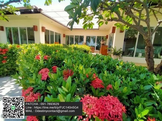 ��º�ҹ ����ҧ ྪú���