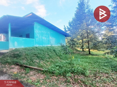 ��º�ҹ ���ͧ�ѹ����� �ѹ�����