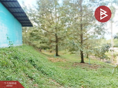 ��º�ҹ ���ͧ�ѹ����� �ѹ�����