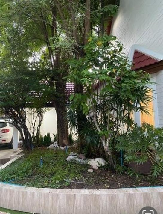 ��ҹ������ ��ͧ�¡�ا෾