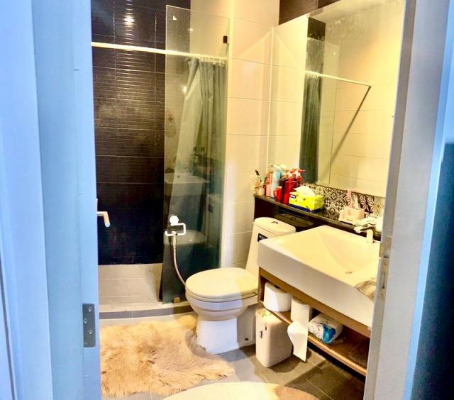 ��¤͹� �ط����� ��û��