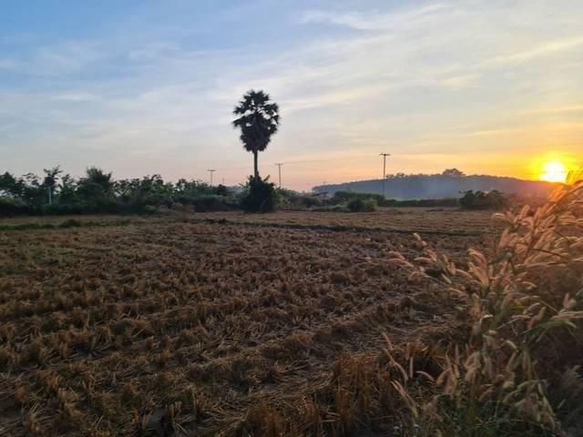 ��·��Թ ⾹����� ˹ͧ���