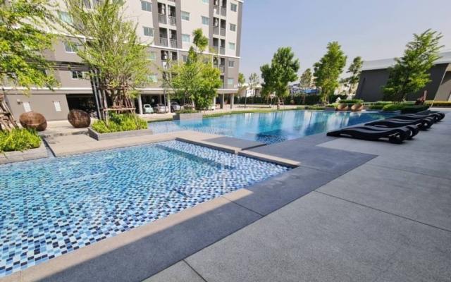 ��¤͹� �ҧ�͹��ا෾