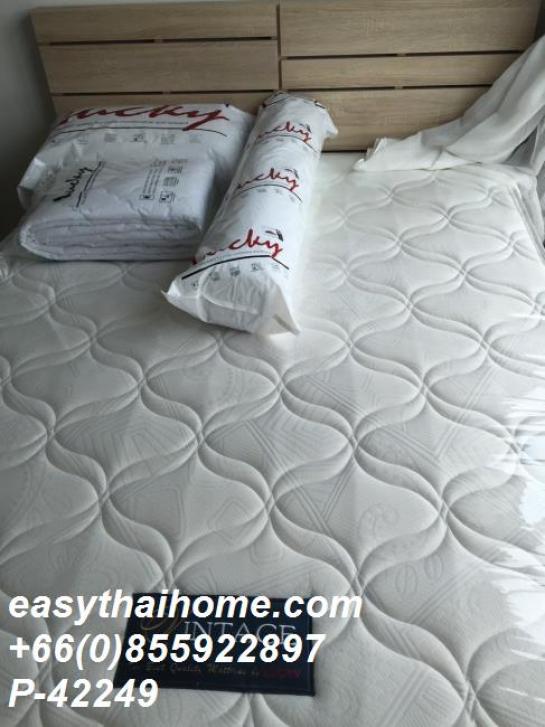 �͹������� ����ͧ��ا෾