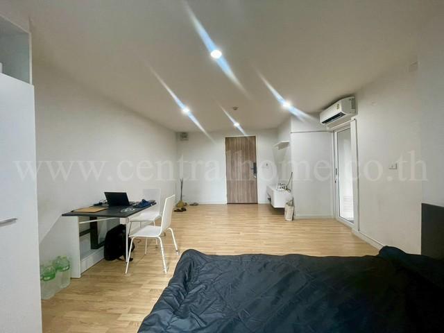 ��¤͹� �ҧ���� �������