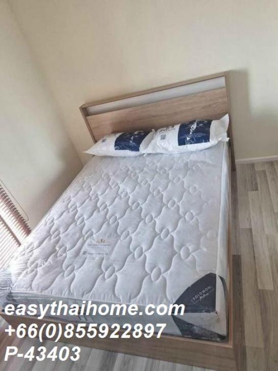 �͹������� ����ͧ��ا෾