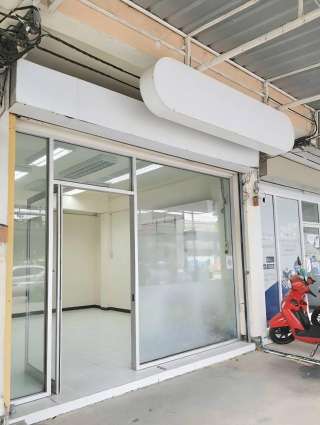 �Ҥ�þҳԪ�������� ��������ا෾