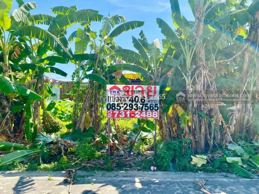 ��·��Թ ��������ا෾