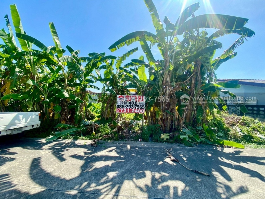 ��·��Թ ��������ا෾