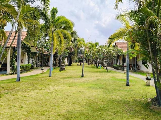 ��¸�áԨ ����Ҫ� �ź���