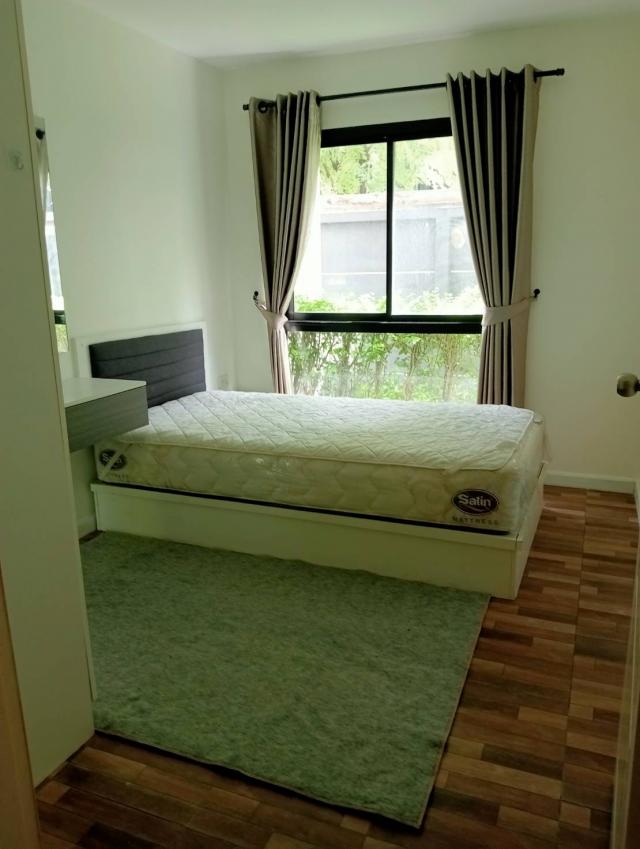 ��¤͹� �ط����� ��û��