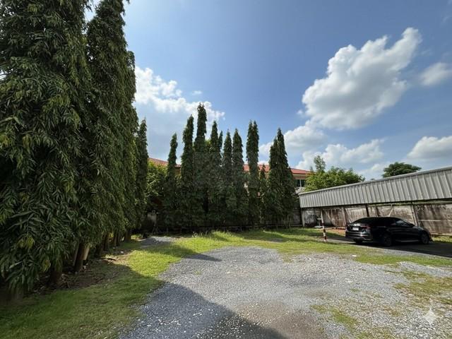 ����Ҥ�þҳԪ�� ��������ا෾