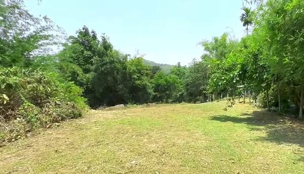 ��·��Թ ����ͧ ��§����