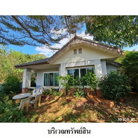 ��º�ҹ ���ͧ��к�� ��к��