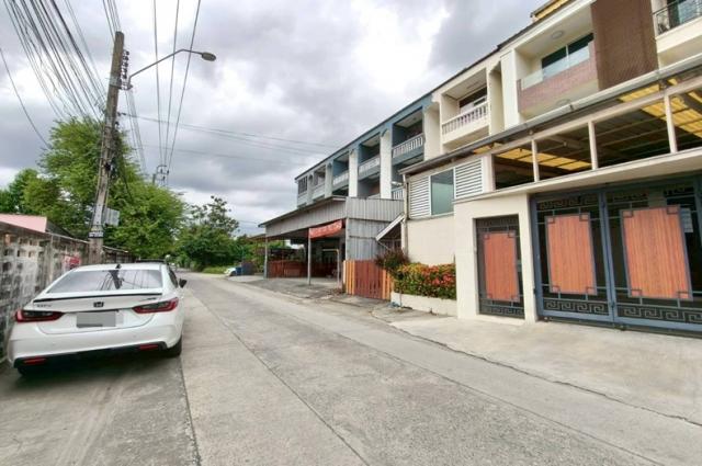 �Ҥ�þҳԪ�������� ��������ا෾