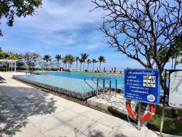 ��¤͹� ����Թ ��ШǺ���բѹ��