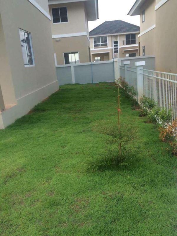 ��ҹ������ ������ ��§����