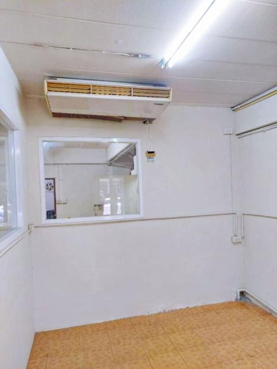 �Ҥ�þҳԪ�������� �Ѳ�ҡ�ا෾