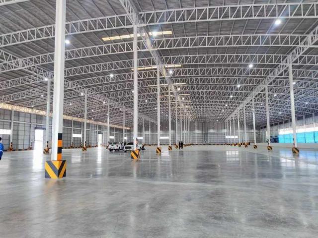 ��ѧ�Թ��������� ����Ҫ� �ź���