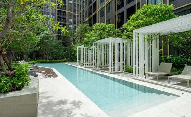 �͹������� �͹���ͧ��ا෾