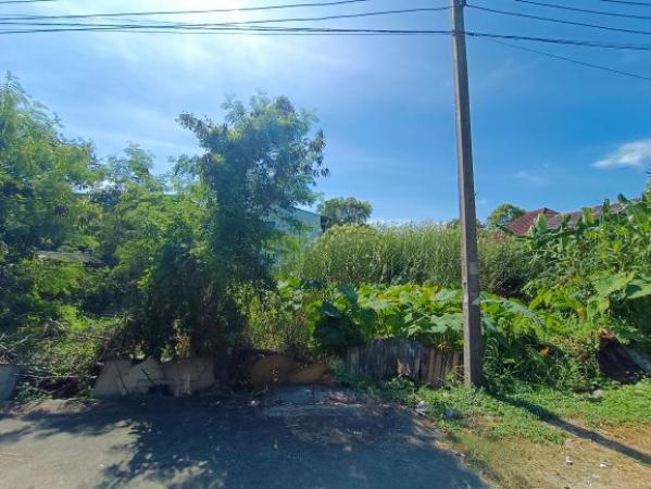 ��·��Թ ��������ا෾