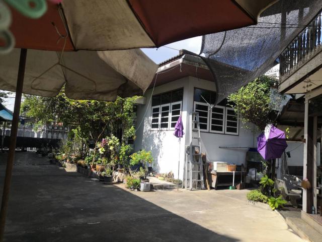 ��·��Թ �Ѳ�ҡ�ا෾