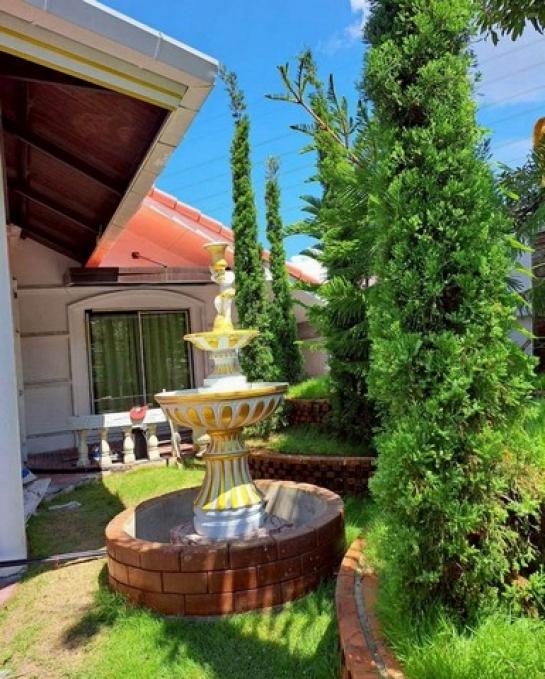 ��ҹ������ �ѹ��ᾧ ��§����