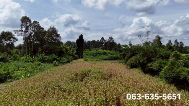 ��·��Թ �觤�� ��к���