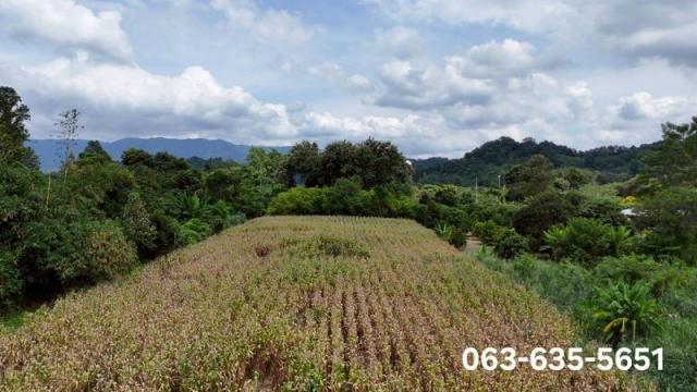 ��·��Թ �觤�� ��к���