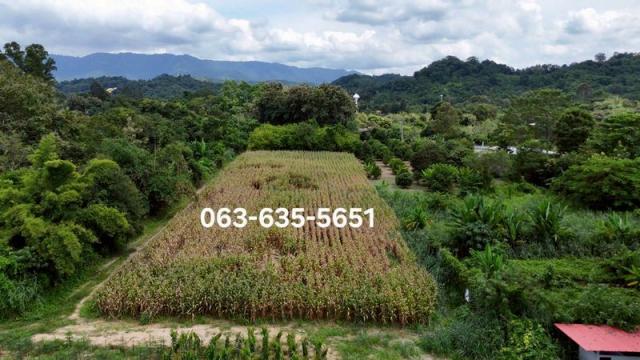 ��·��Թ �觤�� ��к���