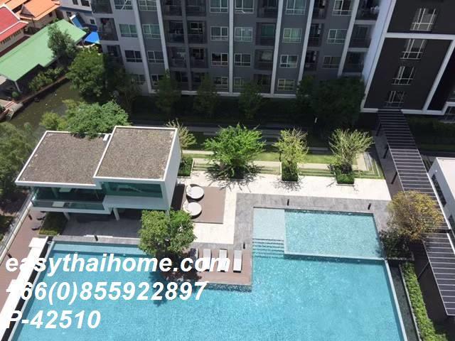 �͹������� ����ͧ��ا෾