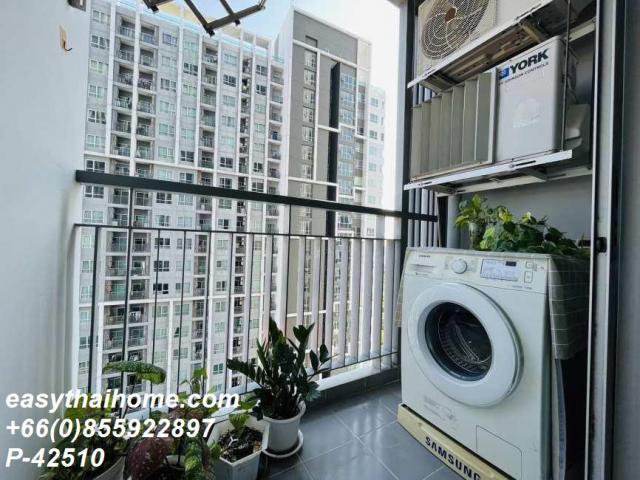 �͹������� ����ͧ��ا෾