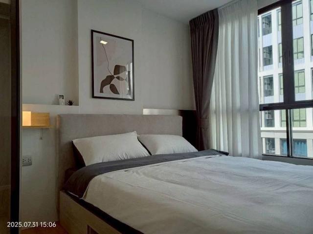 �͹������� ��������ا෾