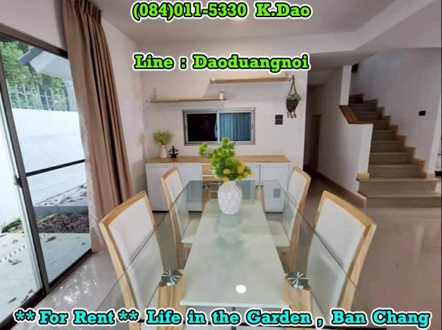 ��ҹ������ ��ҹ�ҧ ���ͧ