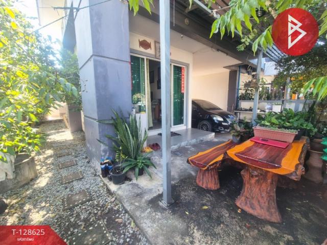 ��º�ҹ �ҧ�С� ���ԧ���