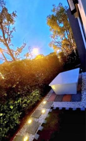 ��ҹ������ �ҧ��� ��طû�ҡ��