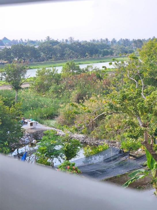 ��¤͹� �ҧ���� �������